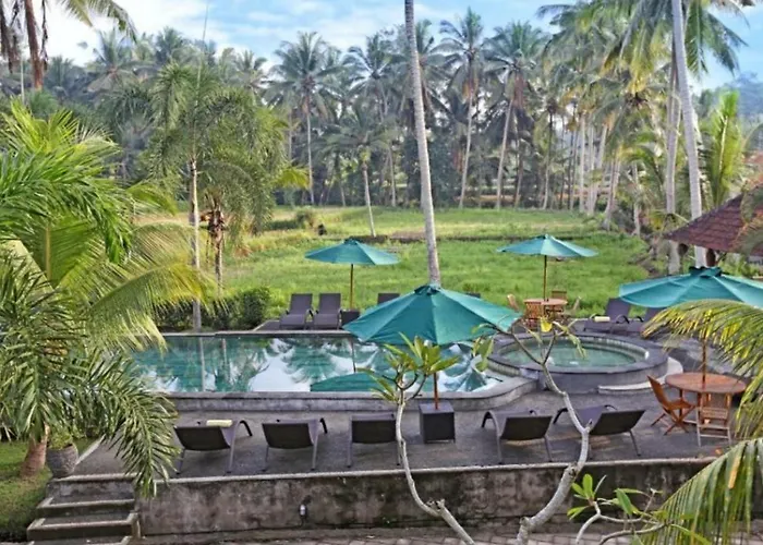 Bed & Breakfast Rice Field View 1 Bedroom Private Pool By Brs Ubud